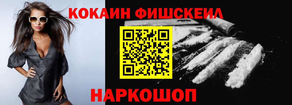 COCAIN VHQ  COCAIN Fish Scale  Новозыбков  COCAIN  Вход с VPN 