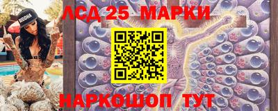 дмт Славгород
