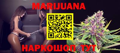 дмт Славгород
