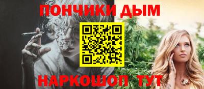 дмт Славгород