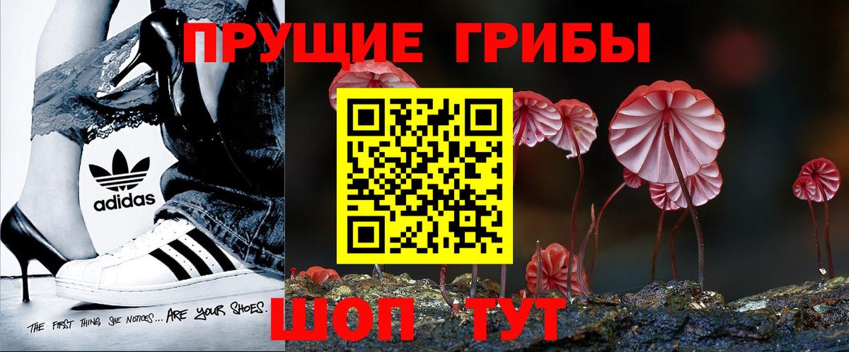 Псилоцибиновые грибы прущие грибы  Галлюциногенные грибы MAGIC MUSHROOMS  Вход с VPN  Новозыбков 