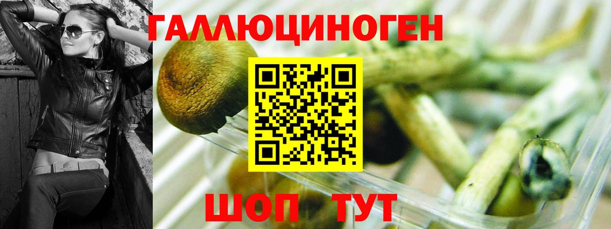 Псилоцибиновые грибы MAGIC MUSHROOMS Новозыбков